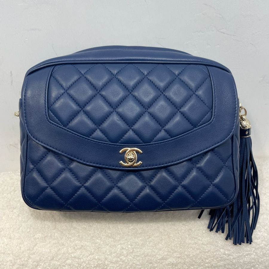Chanel Diana Camera bag-0