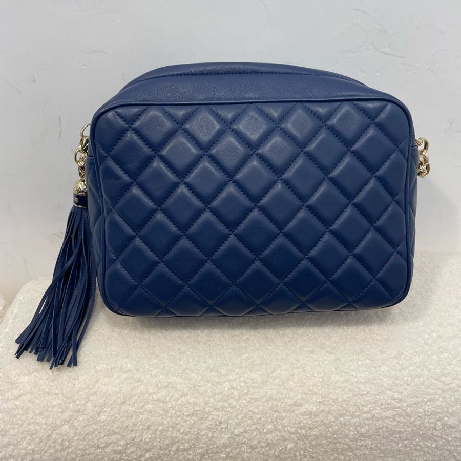 Chanel Diana Camera bag-1