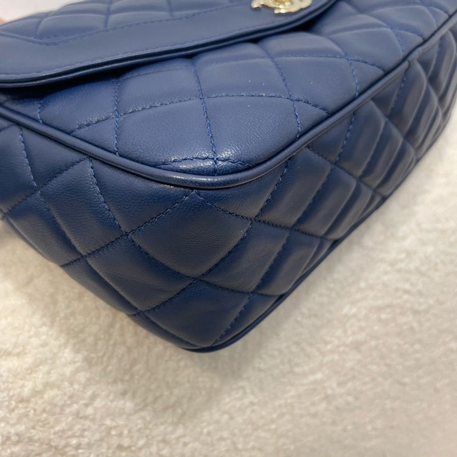 Chanel Diana Camera bag-2