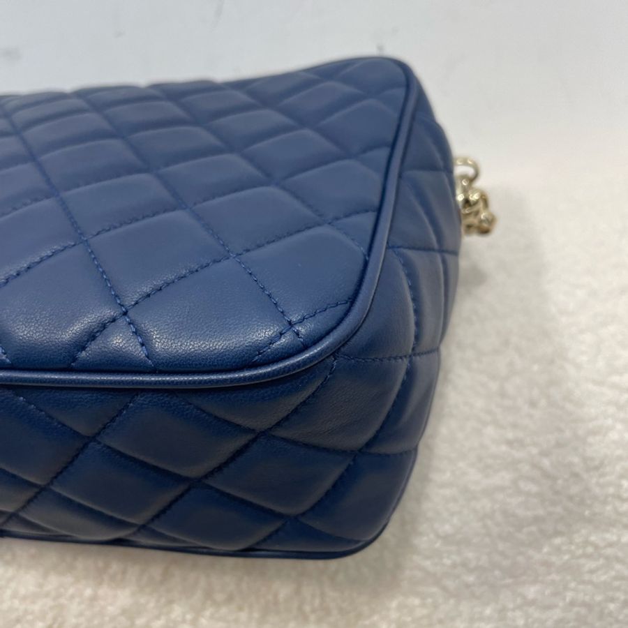 Chanel Diana Camera bag-4