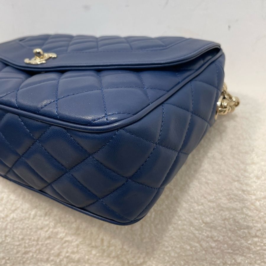 Chanel Diana Camera bag-14