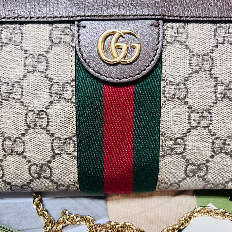 Gucci磁扣mini鏈條包-1