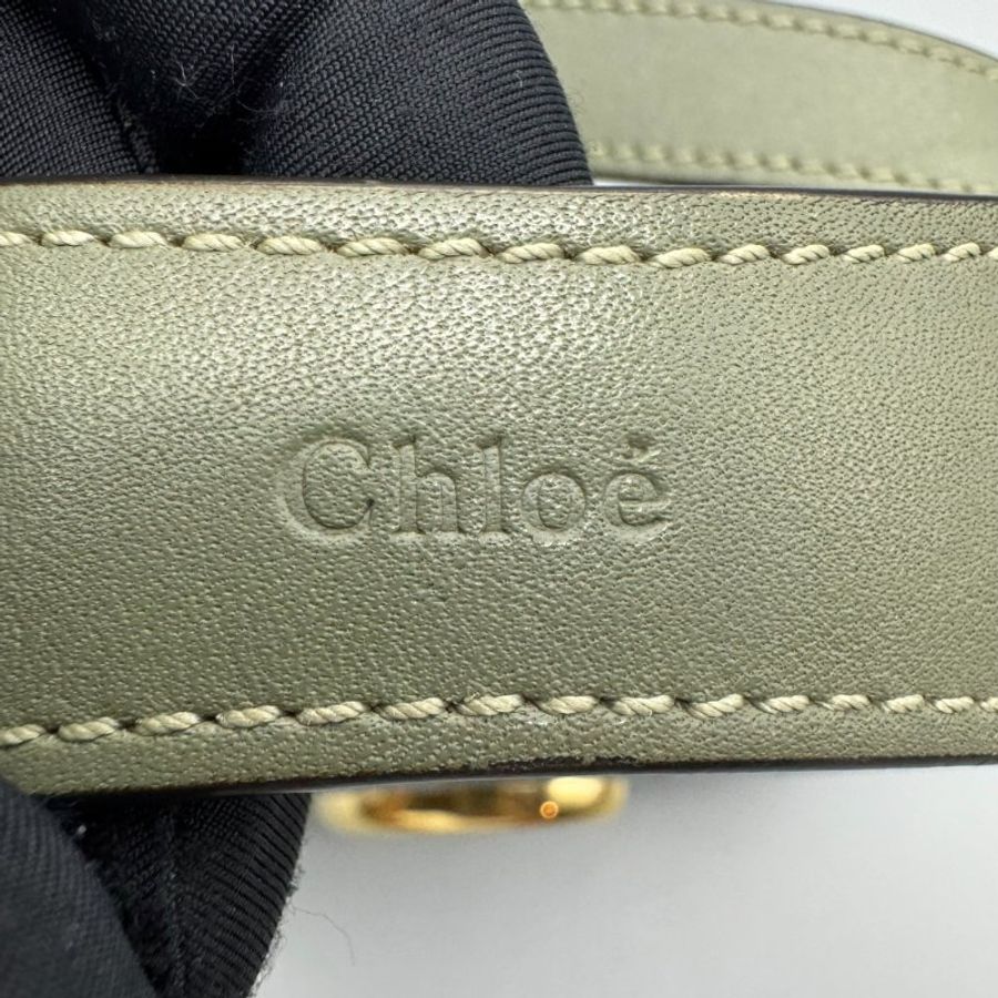 chloe c bag 綠色鱷魚紋 mini-5