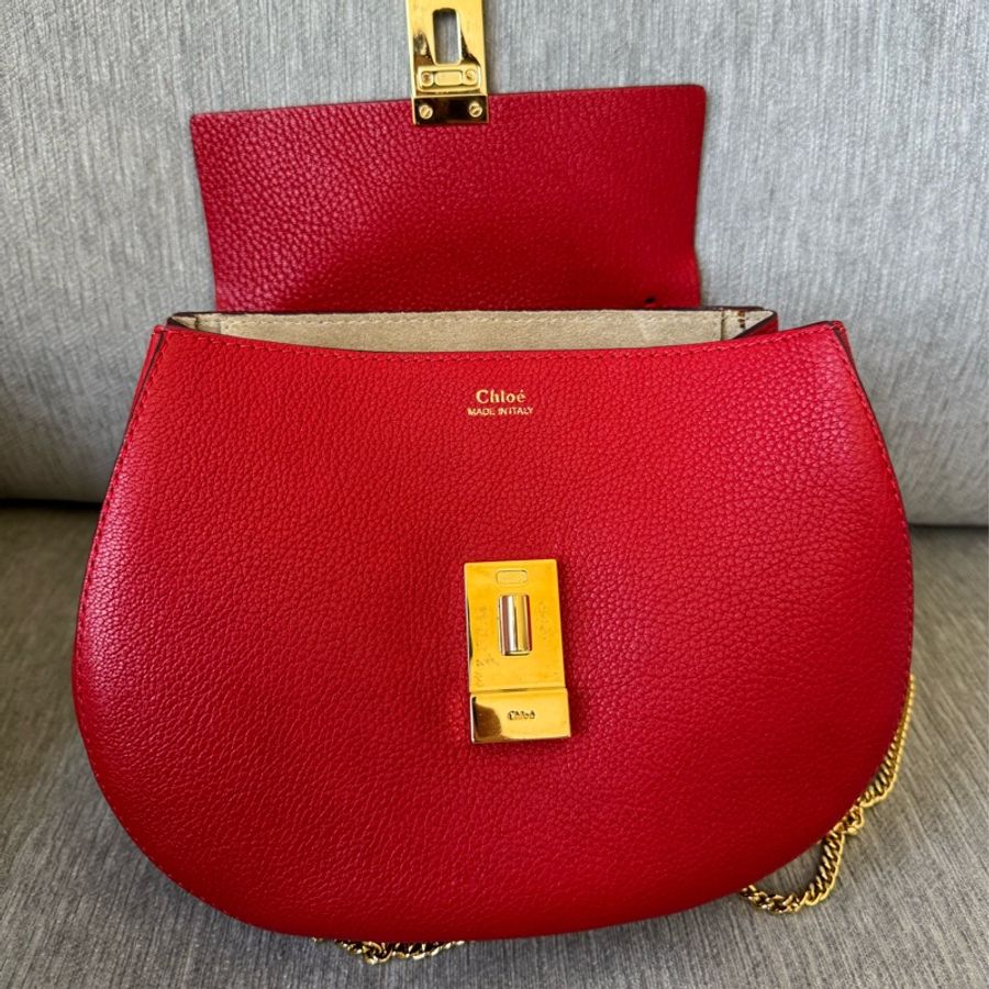 Chloe Drew bag 小豬包-3