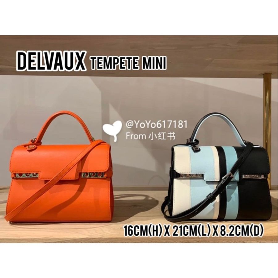 DELVAUX 限量拼色mini包 (可手提 斜背)-1