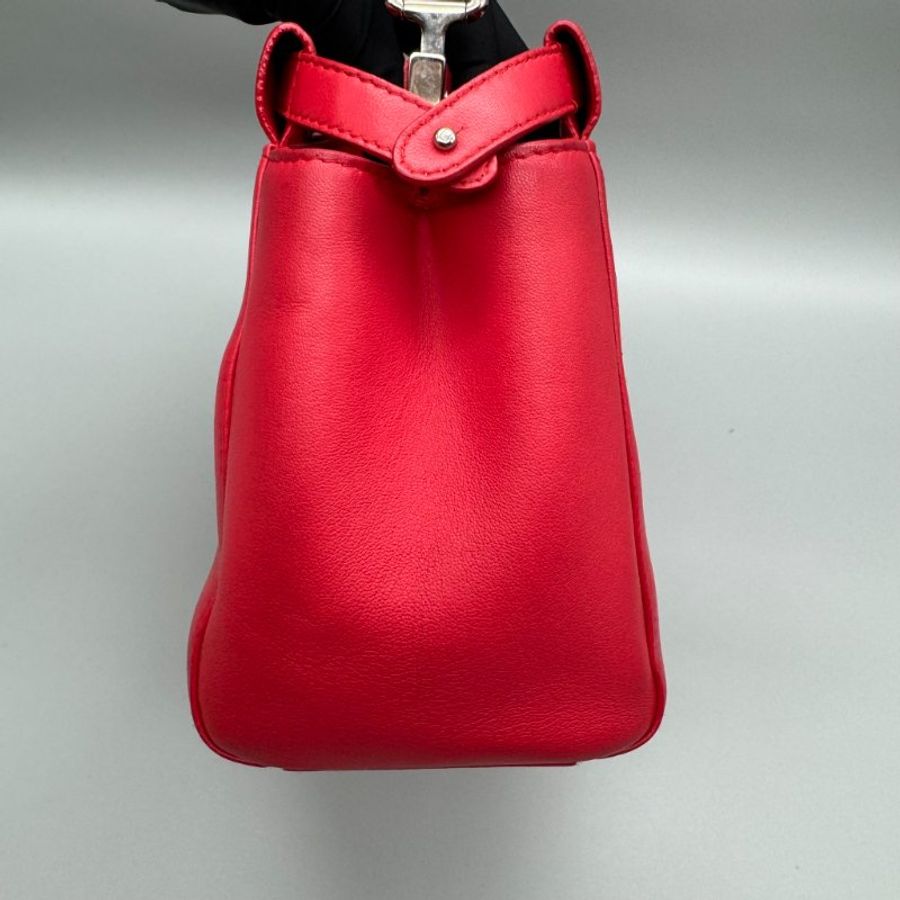 Fendi peekaboo mini 躲貓貓-9