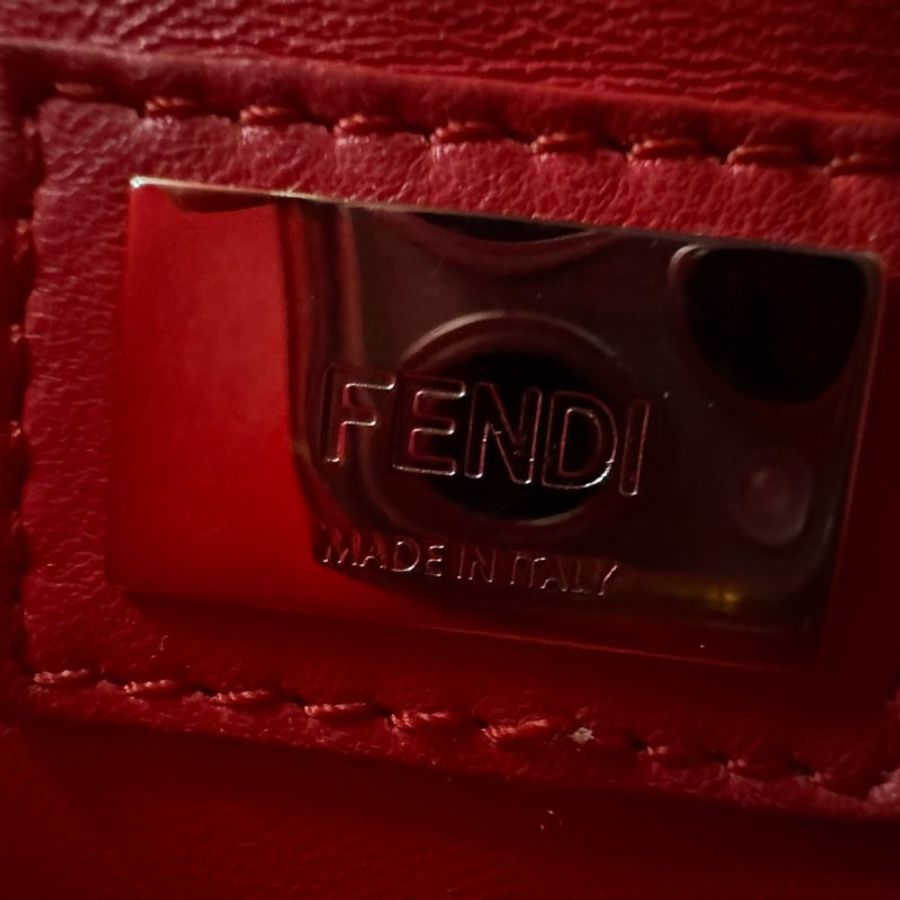 Fendi peekaboo mini 躲貓貓-20