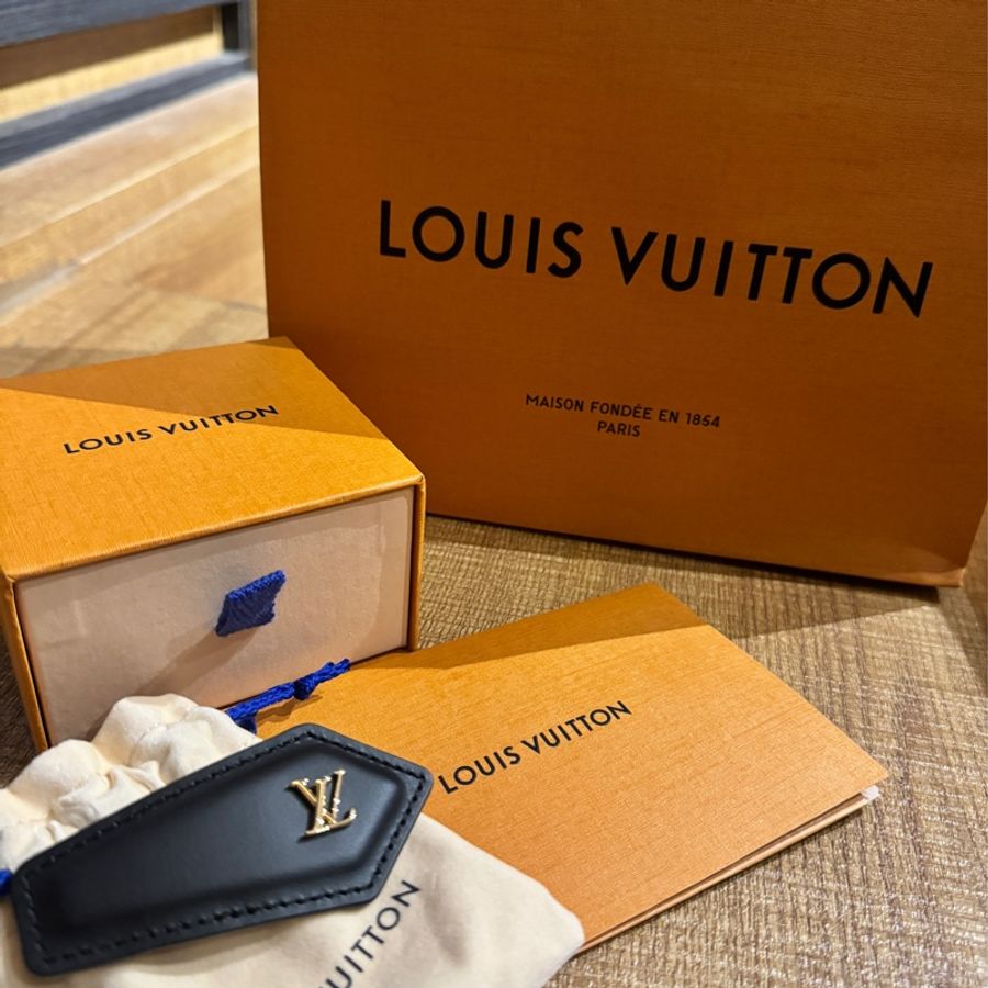 LOUIS VUITTON LV Backstage 皮革髮夾-1