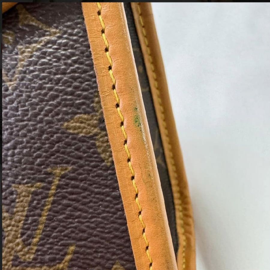 LV M44919 Ivy 老花手提/斜背包-14