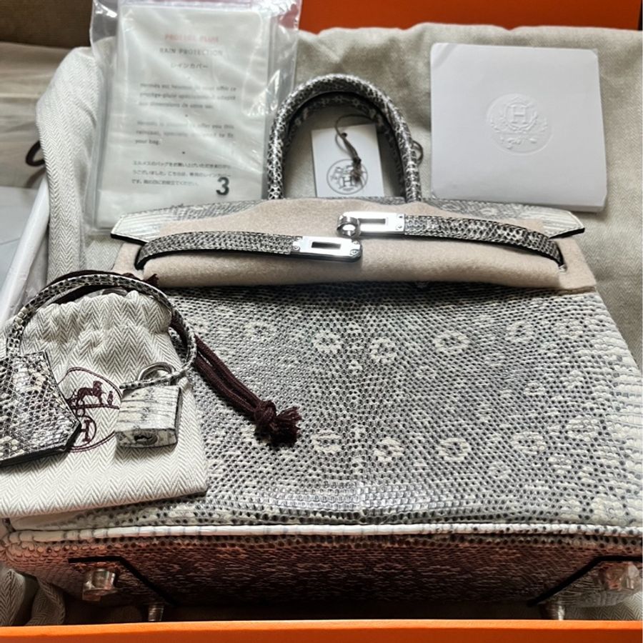 Hermes Birkin 25 (Lizard)蜥蜴皮 銀扣-5