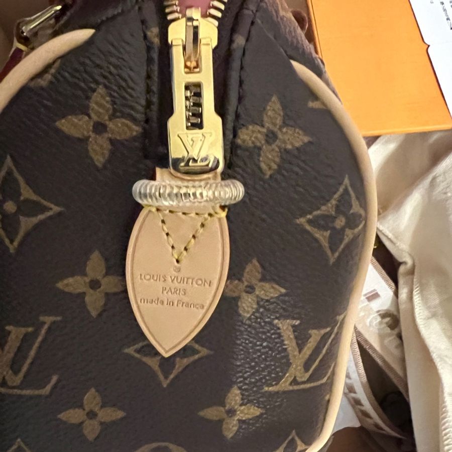 Louis Vuitton LV Speedy 20 M46222-2
