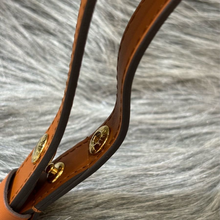 LV M44580 mini Dauphine 原花 金釦 老花 達芙妮 雙色 拼色 肩背包 斜背包-22