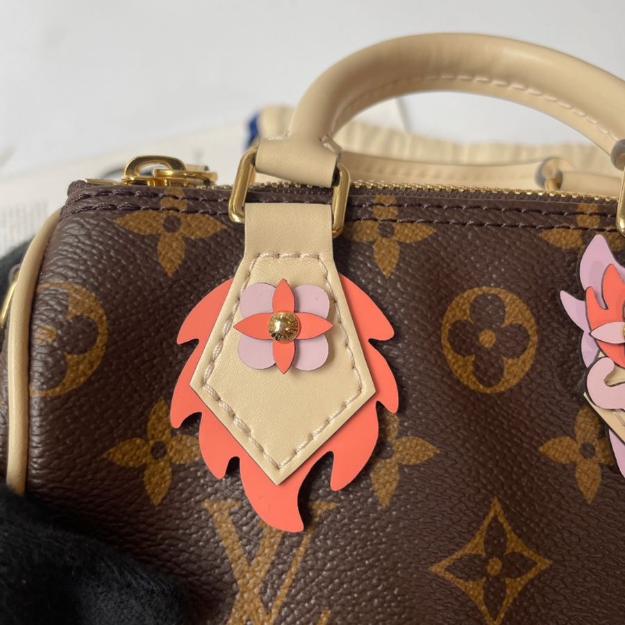 Louis Vuitton Nano Speedy龍年限定-15