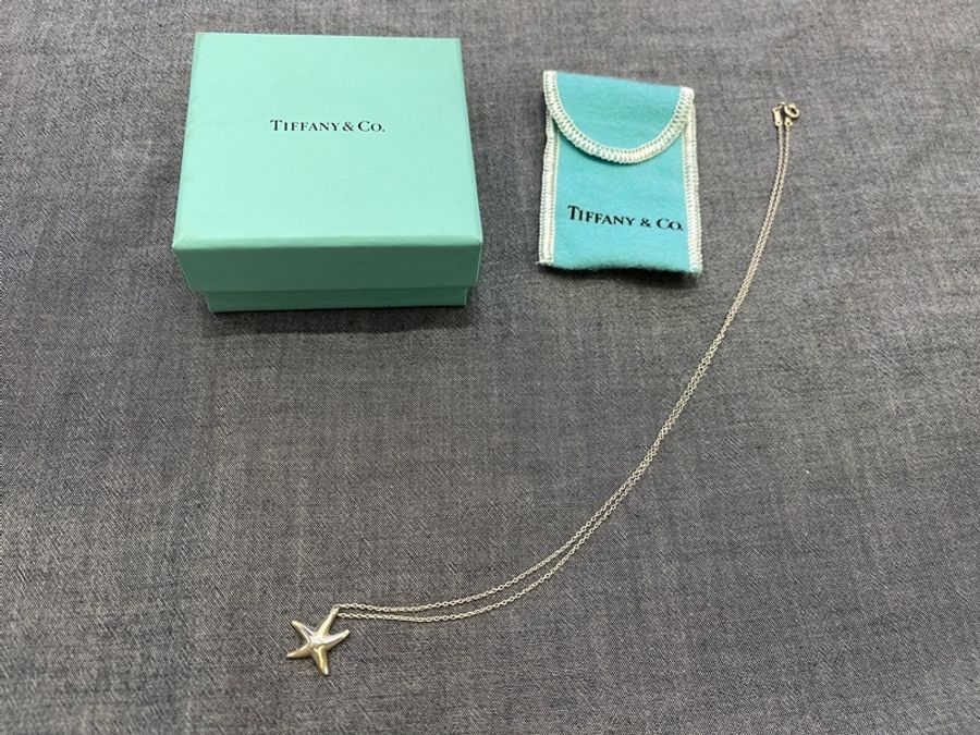 Tiffany純銀海星項鏈-0