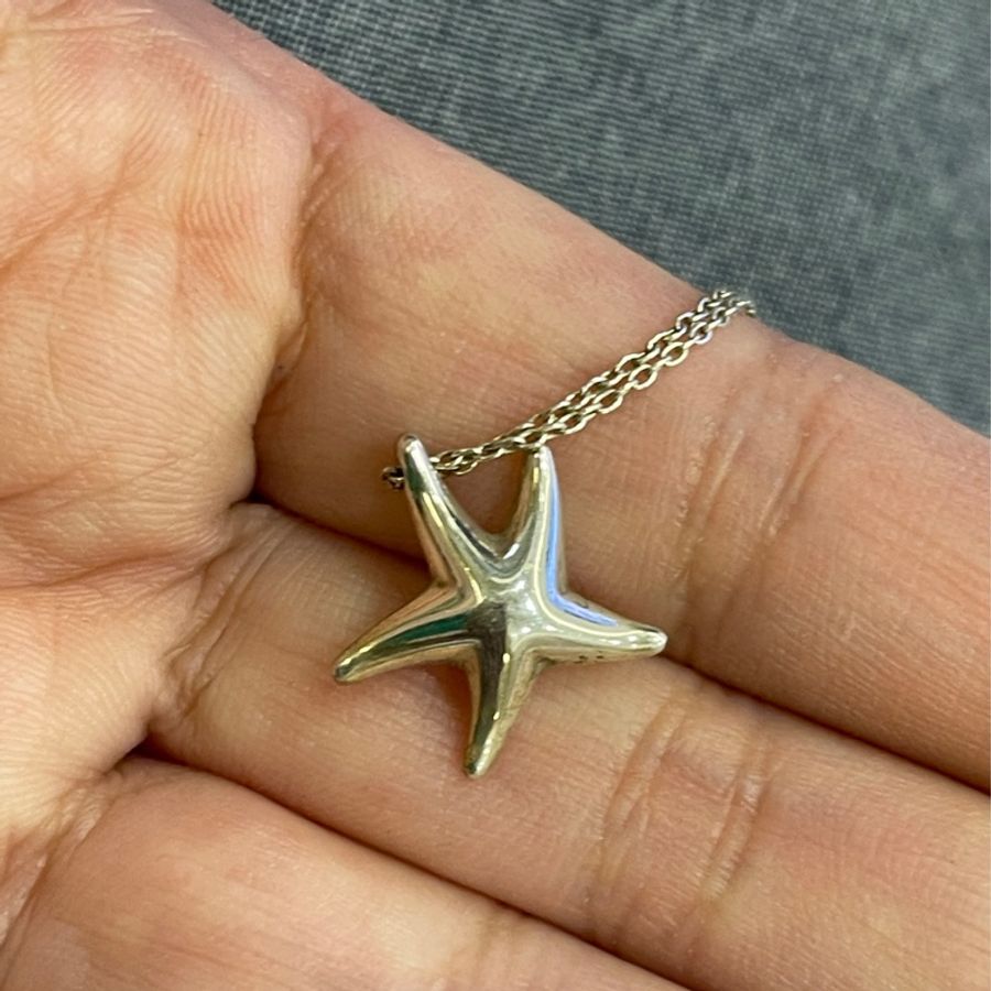 Tiffany純銀海星項鏈-1