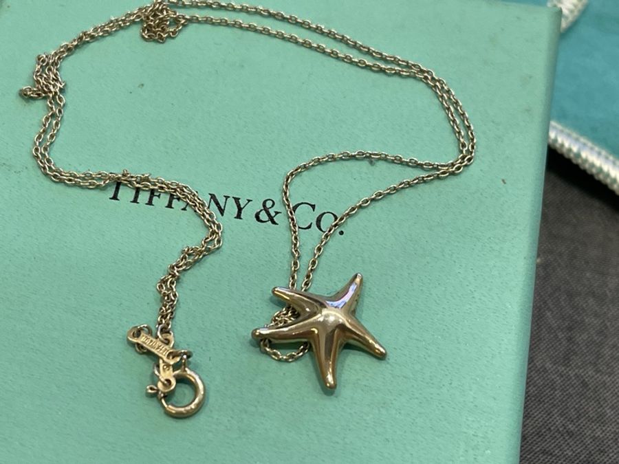 Tiffany純銀海星項鏈-2