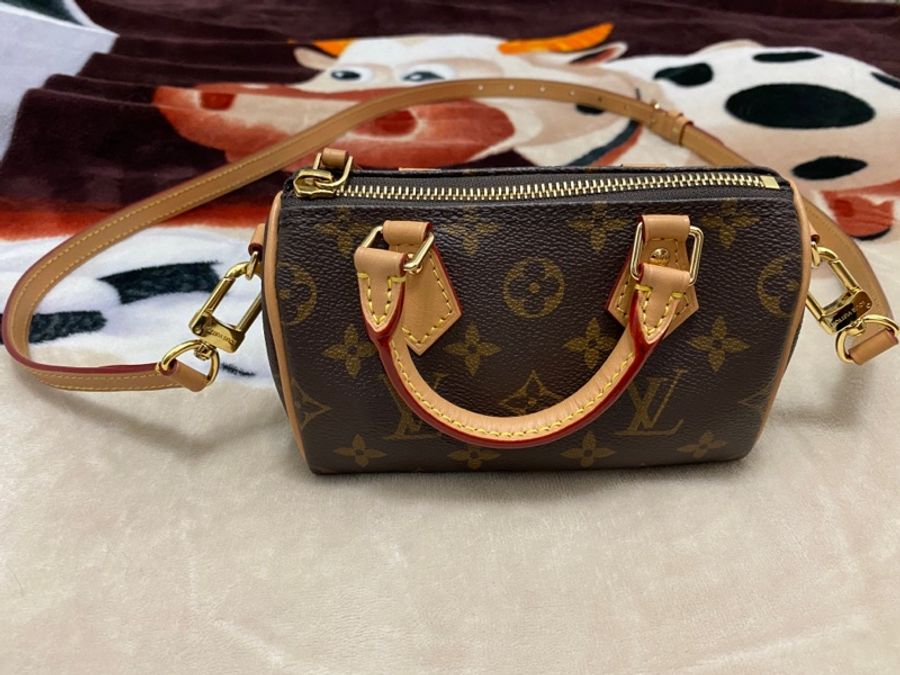 Louis Vuitton (Nano Speedy)-1