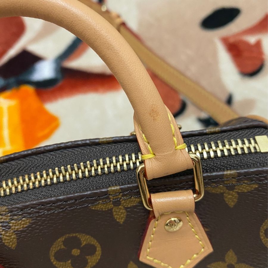 Louis Vuitton (Nano Speedy)-23