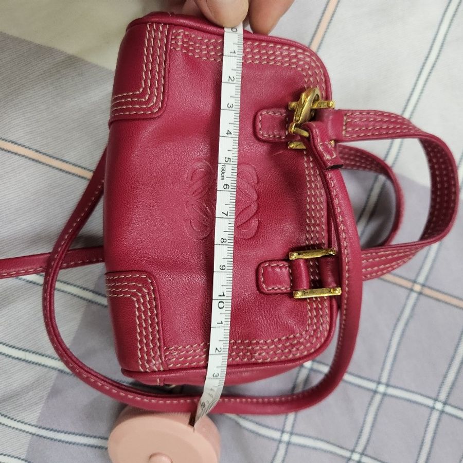 loewe 小廢包-21