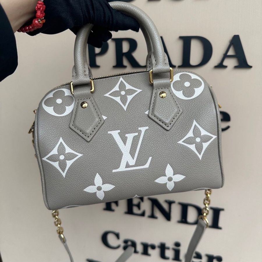 Lv Speedy Bandoulière 20斑鳩灰M46575-0