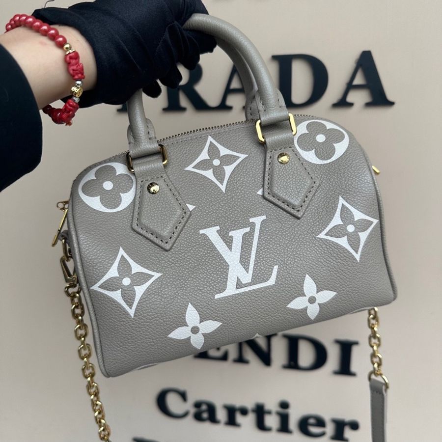 Lv Speedy Bandoulière 20斑鳩灰M46575-1