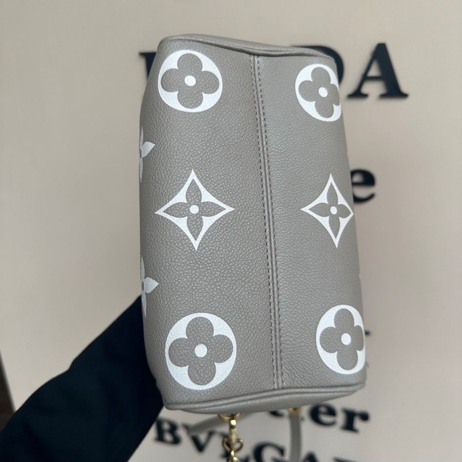 Lv Speedy Bandoulière 20斑鳩灰M46575-3