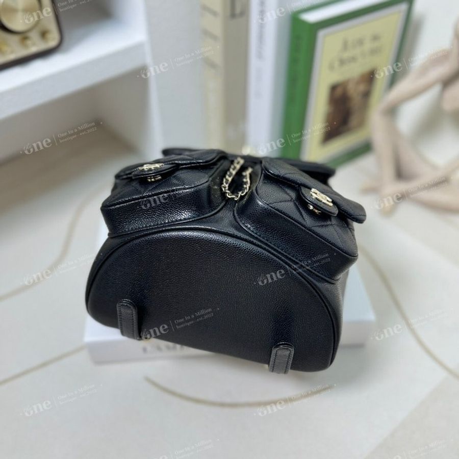 🏷️Chanel.24A Duma 中青蛙-17
