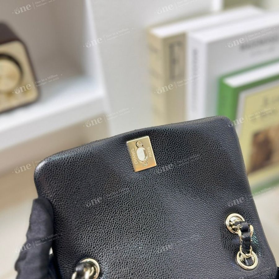 🏷️Chanel.24A Duma 中青蛙-20