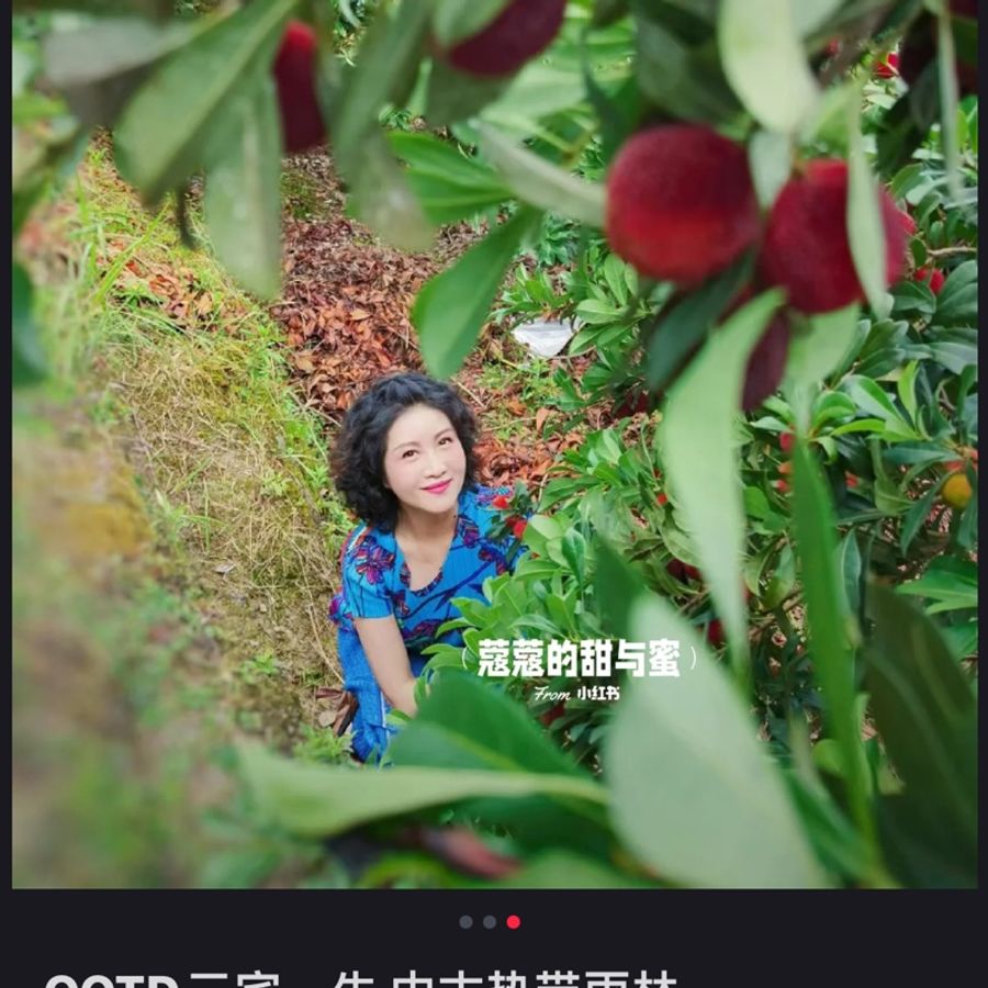 pleats please 三宅熱帶雨林系列上衣-4