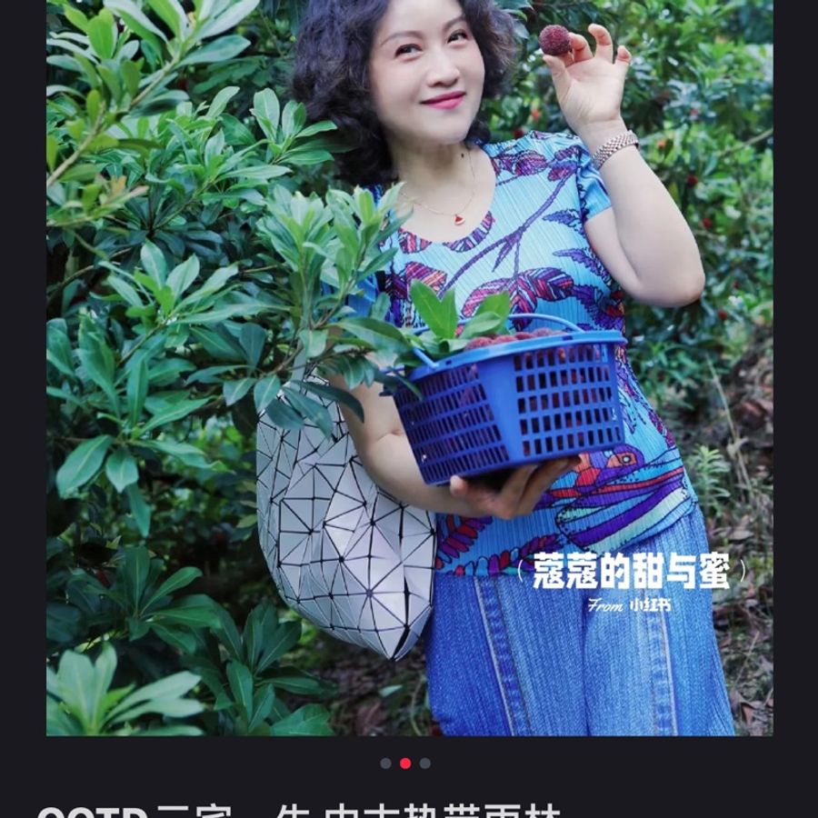 pleats please 三宅熱帶雨林系列上衣-5