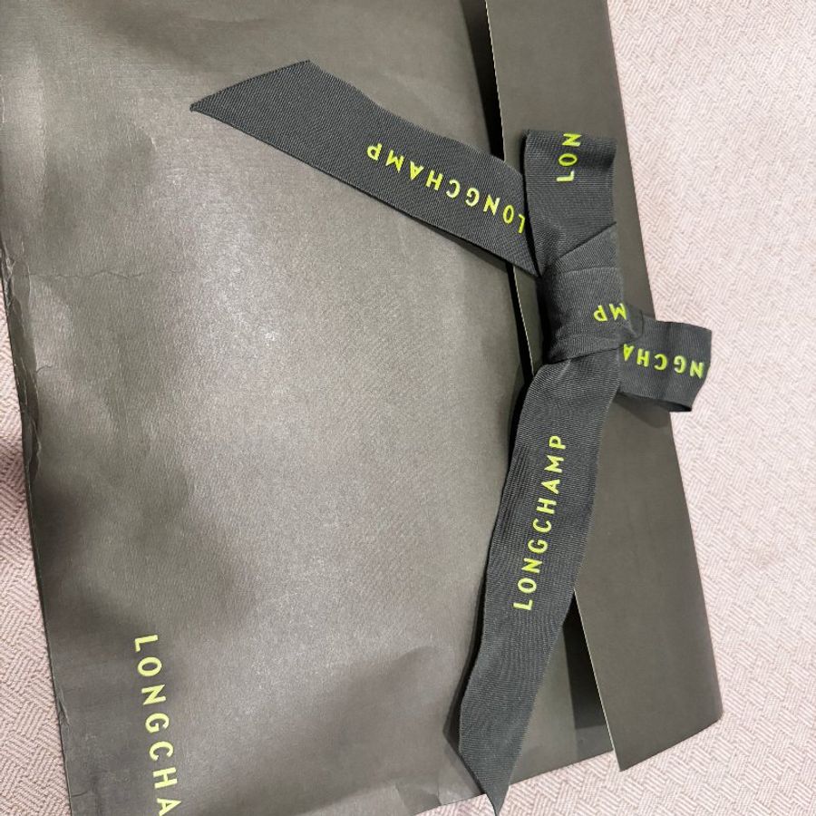 LONGCHAMP LE PLIAGE FILET L MESH BAG 漁網包 網兜包 編織包 綠色 全新-4
