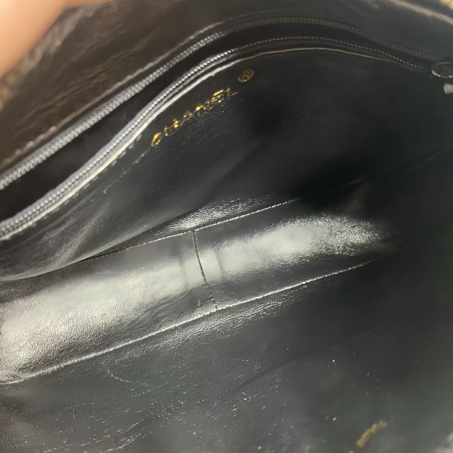 Chanel vintage 蜥蜴皮相機包-1