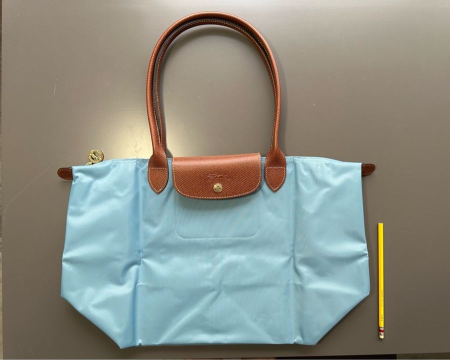 法國帶回 現貨在台 🇫🇷 Longchamp le pliage 長把 長提帶 水餃包 母親節禮物 81404243-3