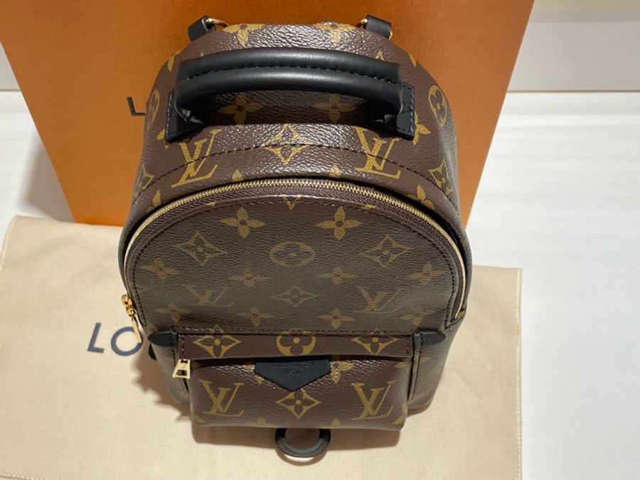 LV M44873 Palm Springs Mini-3
