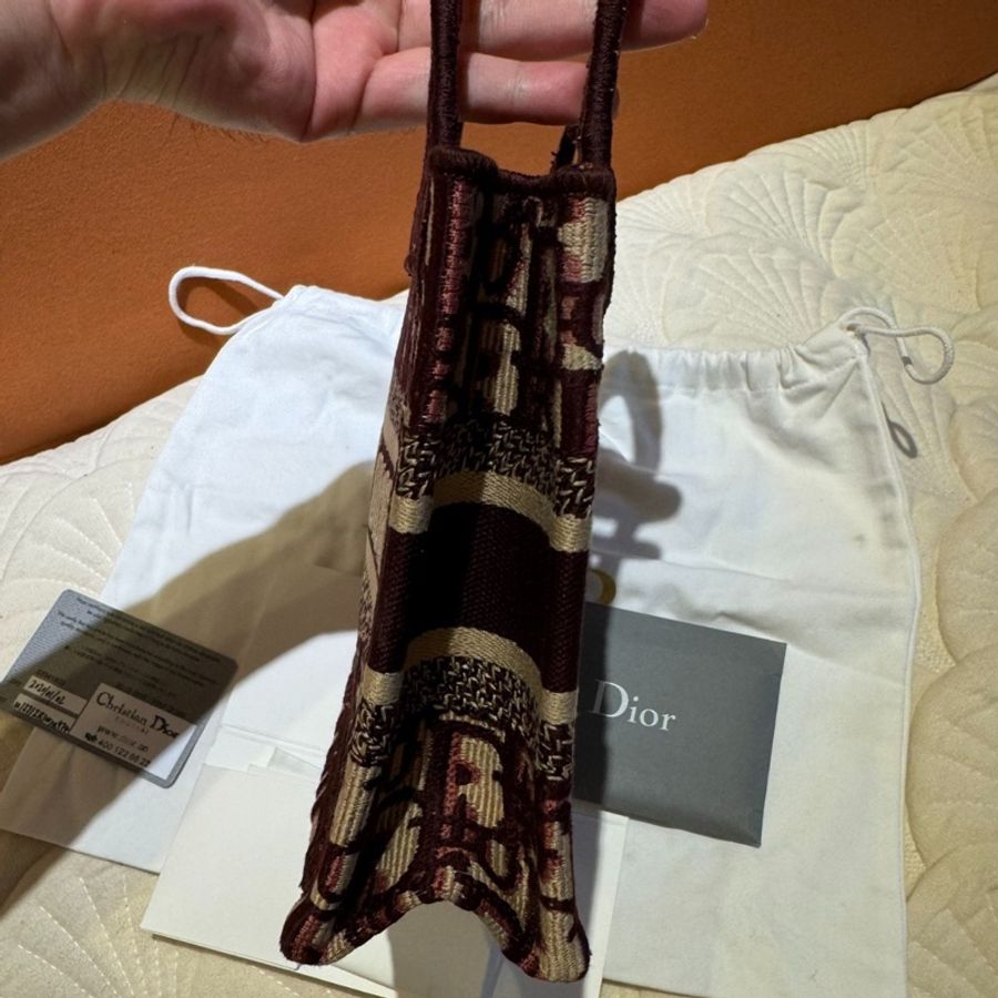 Dior 老花mini托特包手提包-1