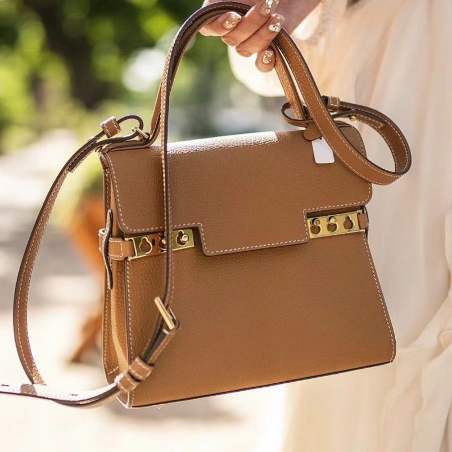 Delvaux 比利時國寶 Crispy Calf Tempete PM 包 棕色《2024季度★全新商品 》-1