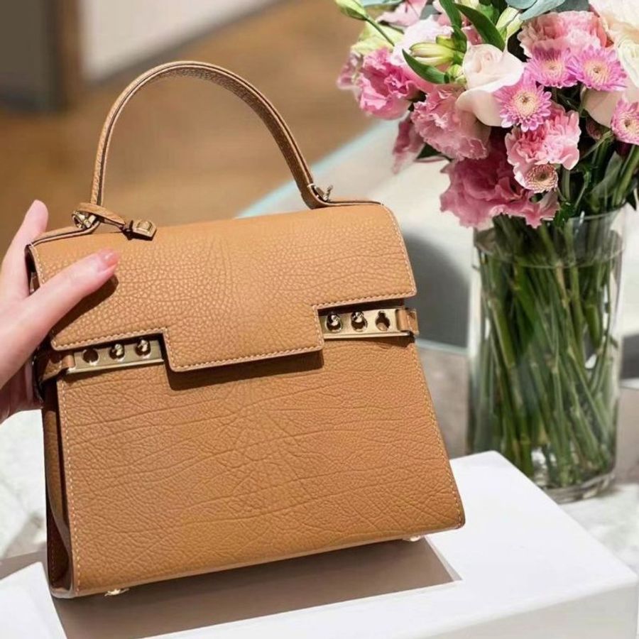 Delvaux 比利時國寶 Crispy Calf Tempete PM 包 棕色《2024季度★全新商品 》-3