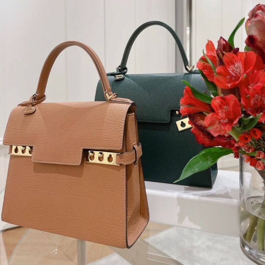 Delvaux 比利時國寶 Crispy Calf Tempete PM 包 棕色《2024季度★全新商品 》-4