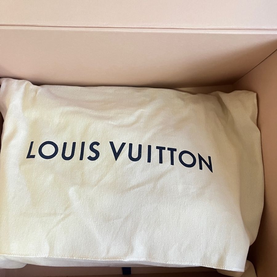 LV Carry all PM 老花 全新 2024年 難入手-7