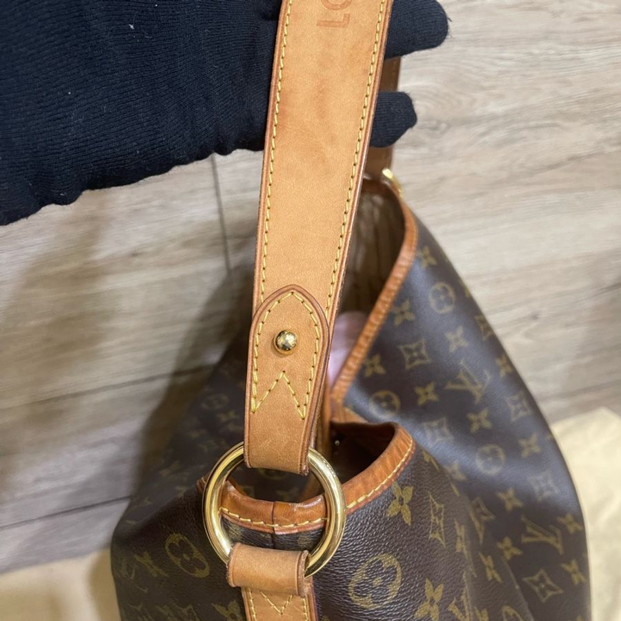 LV Delightful MM (送無品牌背帶一條❗️)-22