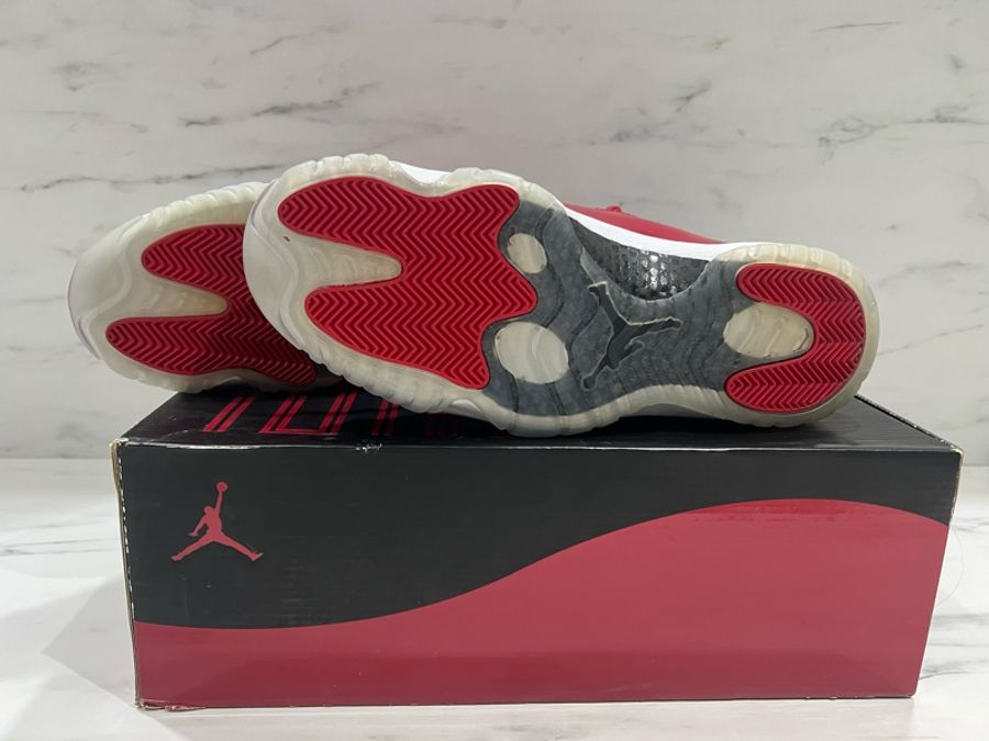 Air Jordan 11-6