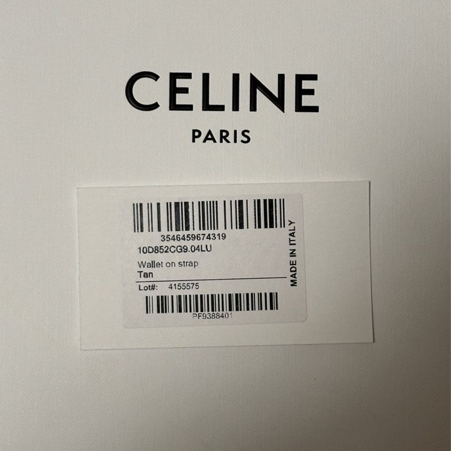 CELINE TRIOMPHE老花帆布WOC/信封包-10