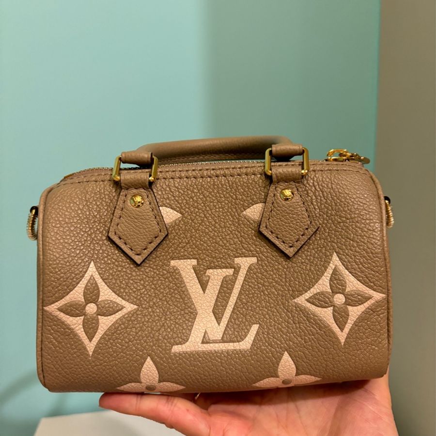 LV nano speedy 大象灰(斑鳩灰)M82890-6