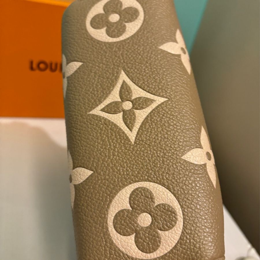 LV nano speedy 大象灰(斑鳩灰)M82890-12
