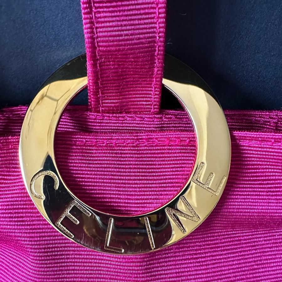 Vintage Celine 金圈手拿袋-1