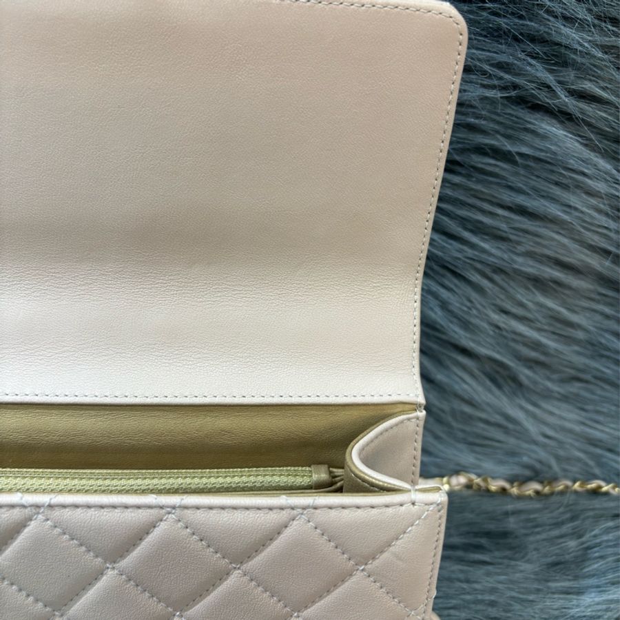 Chanel AS0585 Quilted Flap LOGO WOC 奶茶皮 杏色 小牛皮 珍珠 金鍊 肩背包 斜背包 鍊子包 鏈帶包-22