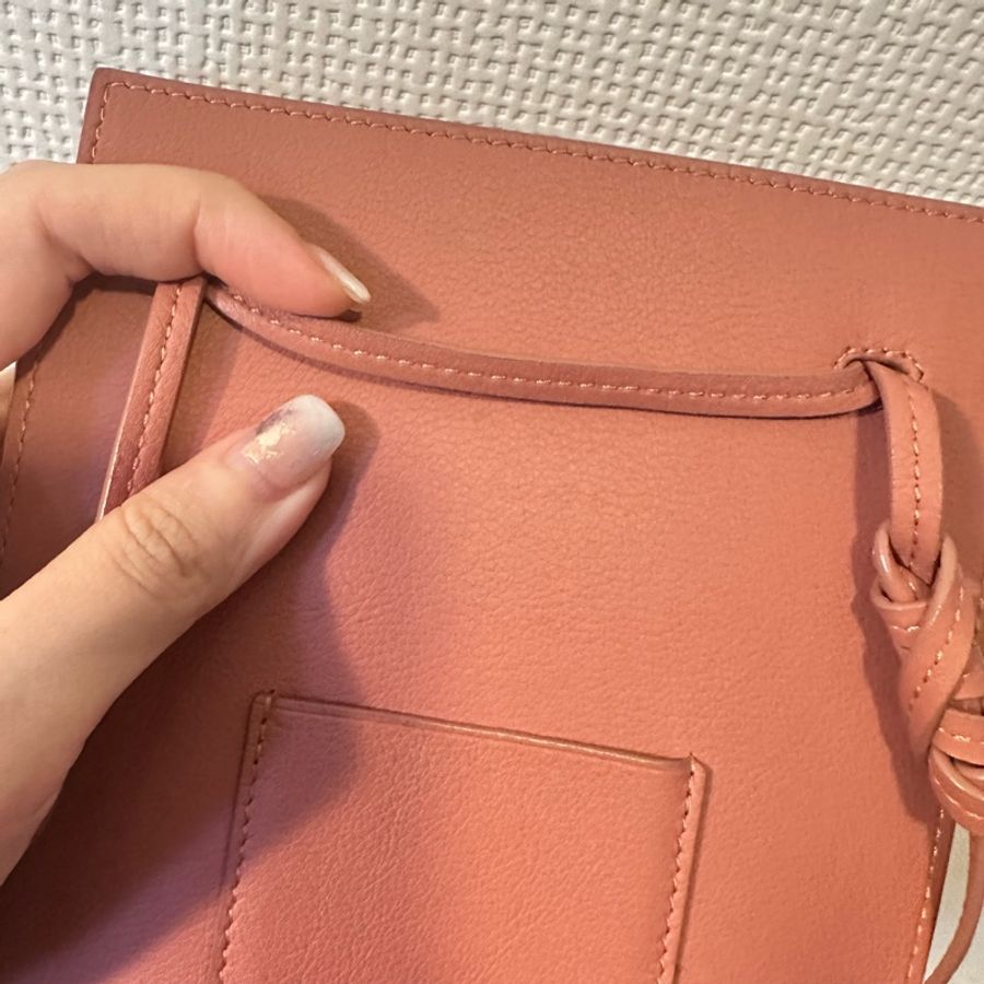 Loewe dice pocket 乾燥玫瑰粉-7