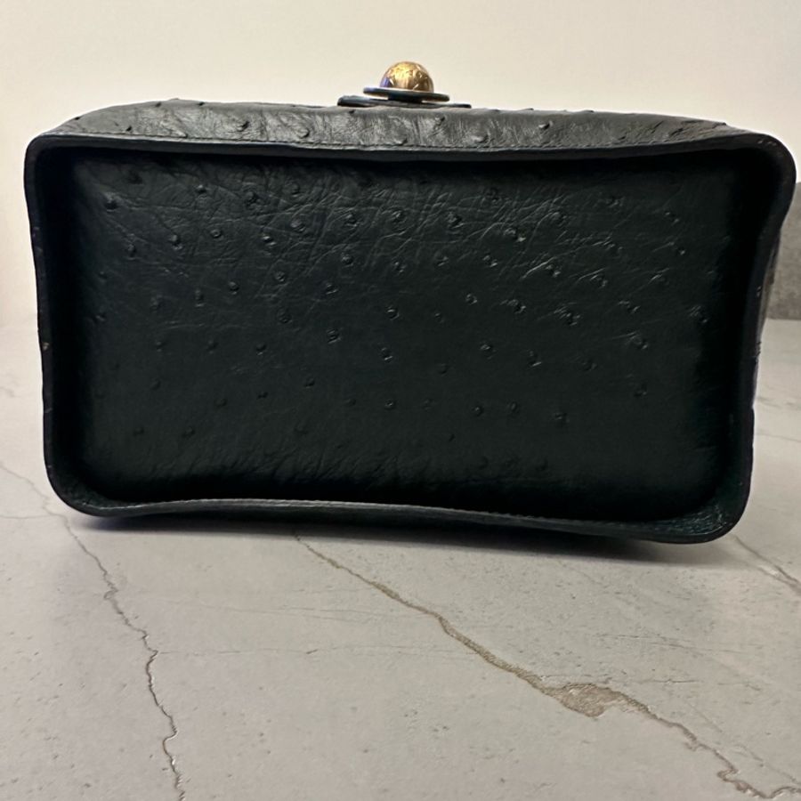 絕版中古CELINE鴕鳥皮化妝包手袋(星球系列)-2