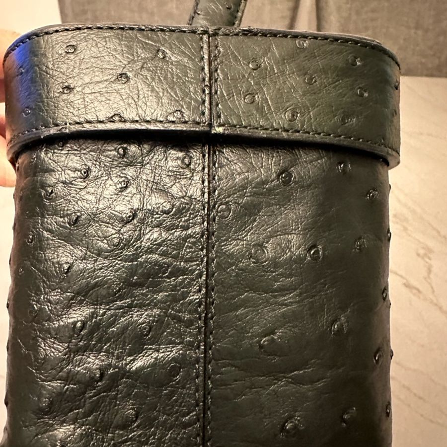 絕版中古CELINE鴕鳥皮化妝包手袋(星球系列)-5