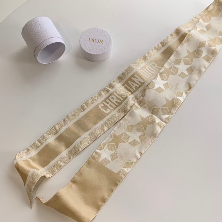 Dior 絲巾-2